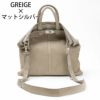 グレージュマットシルバー
