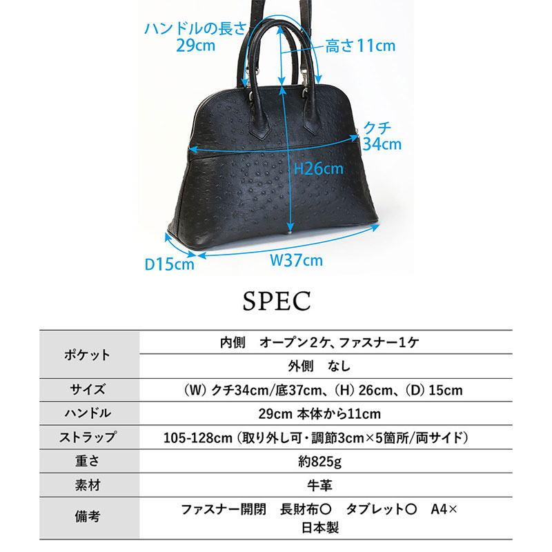 背面
