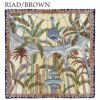 リアド BROWN