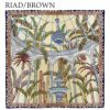 リアド BROWN