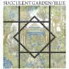 SUCCULENT GARDEN BLUE