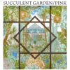 SUCCULENT GARDEN PINK