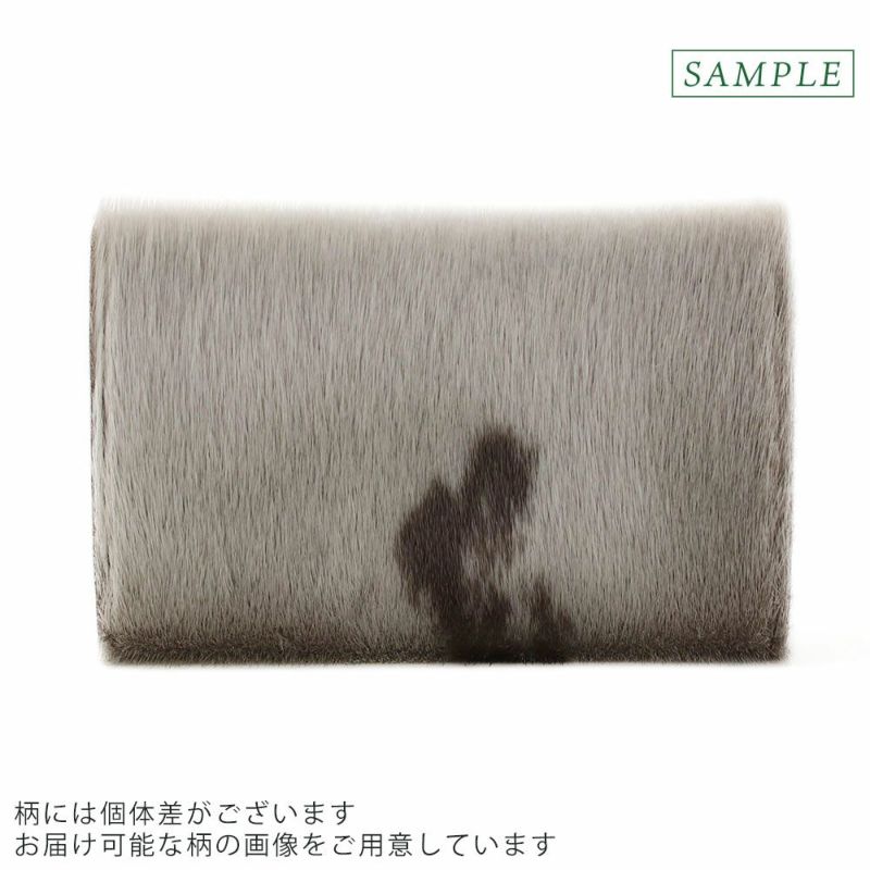 背面