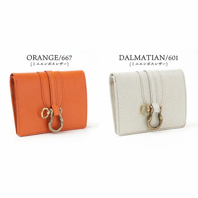 バリエーション