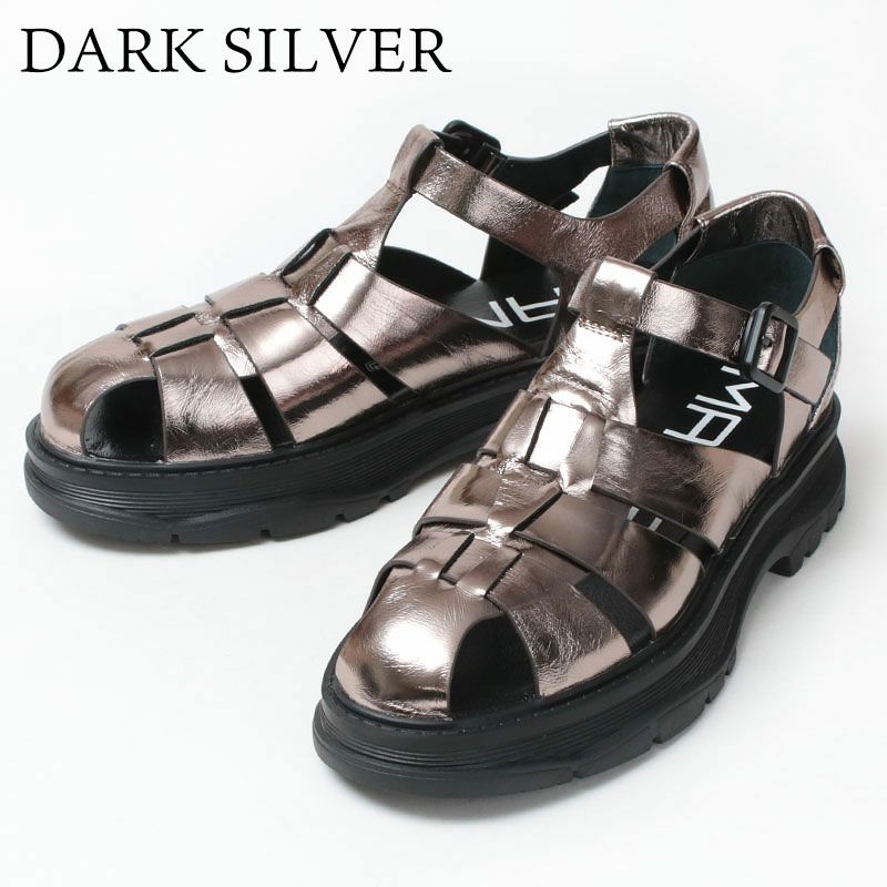 ダークシルバー