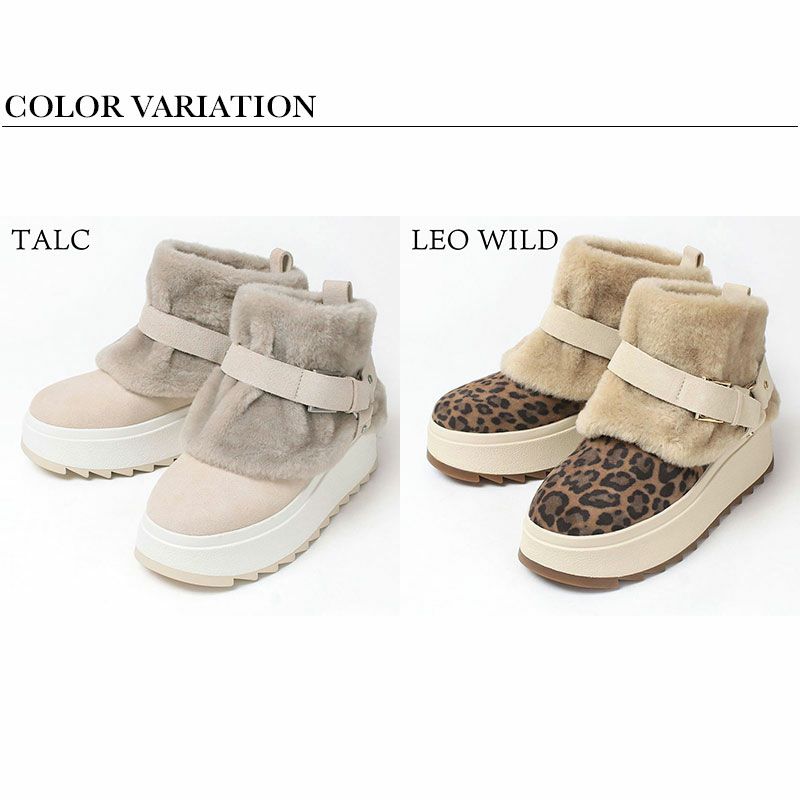 バリエーション